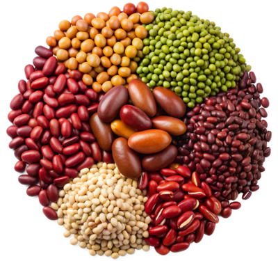 colorful-assortment-of-beans-and-legumes-in-a-circle-transparent-png